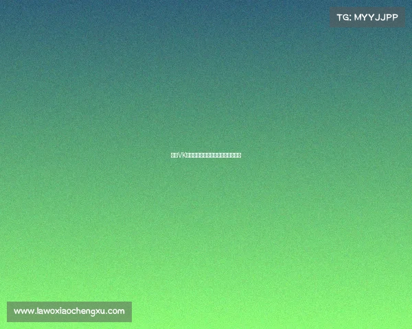 北京VK战队：荣耀与挑战并存的电竞新征程